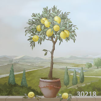 Лимонное дерево