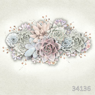 Суккуленты