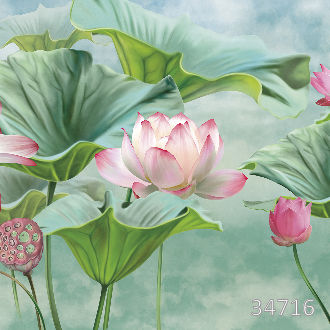 Цветущие лотосы