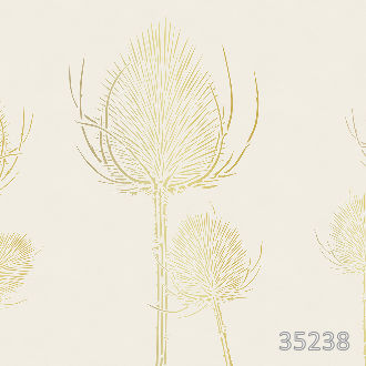 Цветы и линии