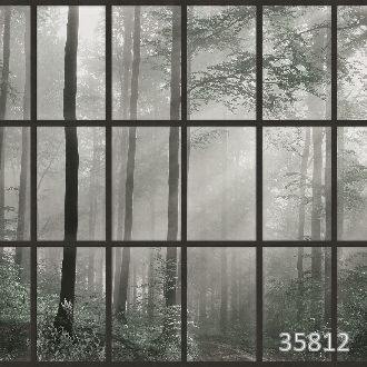 Сквозь стекло