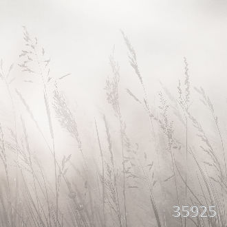 В объятиях солнца