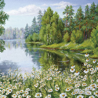 В ромашковом краю